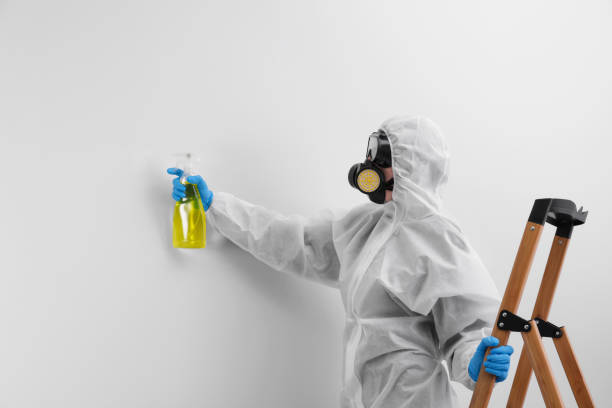 Best Emergency Mold Remediation in Bangor, WI